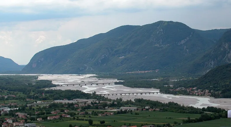 Natura Selvaggia in Friuli: Guida alla Biodiversità del Territorio di Venzone tra Boschi, Fiumi e Cieli Migratori