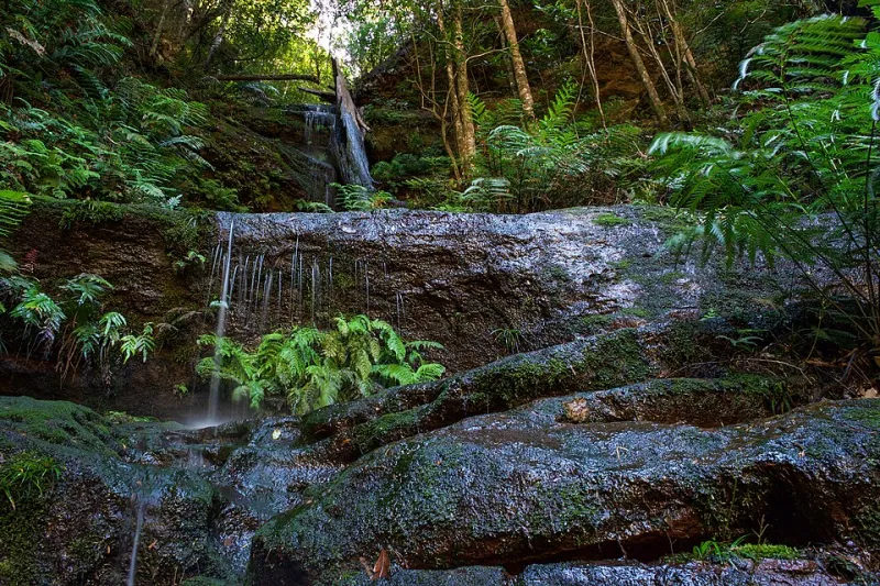 Tre Cascate Segrete nei Monti Intorno a Venzone: Dove l'Acqua e la Lavanda si Incontrano