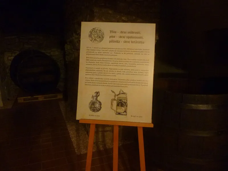 Sotto i Piedi di Venzone: Cantine, Cunicoli e Storie Nascoste nel Ventre del Friuli